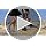 Barefoot Water Shoes, Minimalist Running Sneakers, Beach Outdoor Shoes, Men and Women